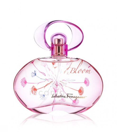 إنكانتو بلوم