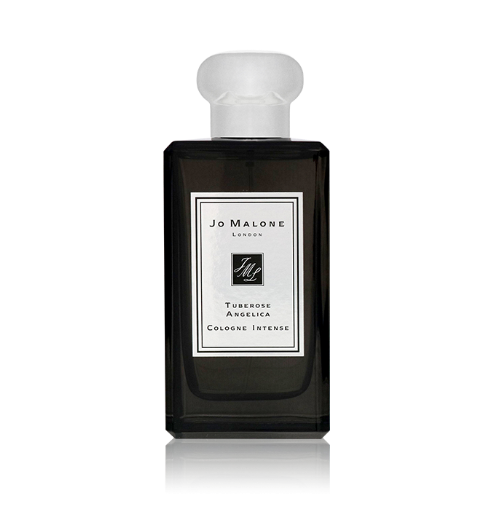  توبروز أنجليكا انتينس