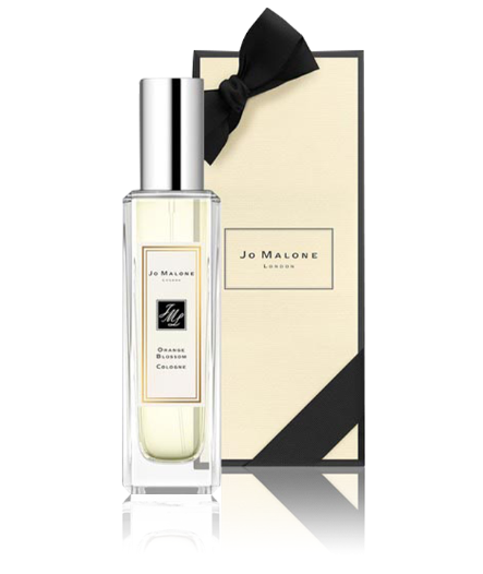  أورانج بلوسوم