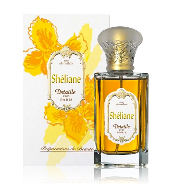 ديتالي 1905 شيلياني