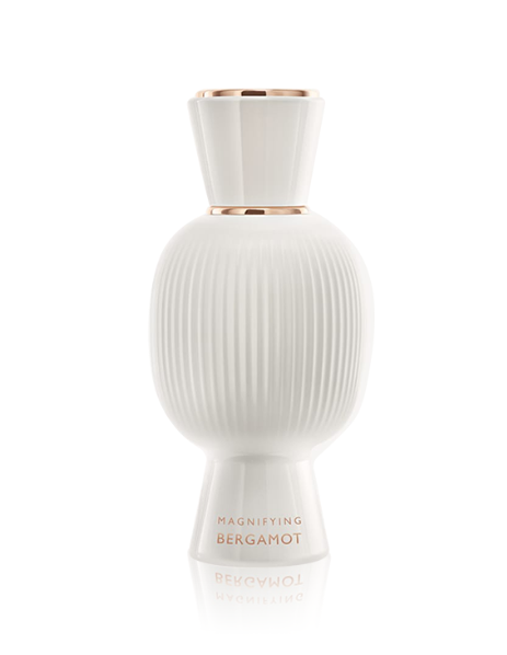  أليجرا ماجنيفاينج بيرجموت