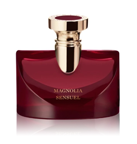 سبلينديدا ماجنوليا سينسويل