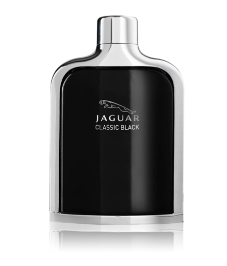 مجموعة البرنس